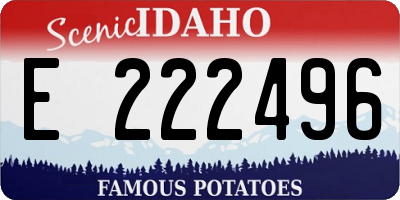 ID license plate E222496