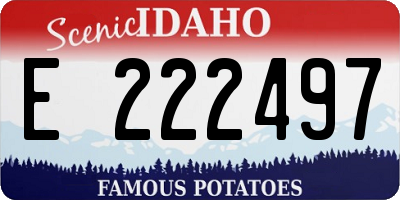ID license plate E222497