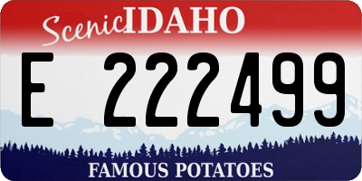 ID license plate E222499