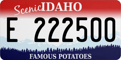 ID license plate E222500