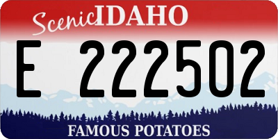 ID license plate E222502