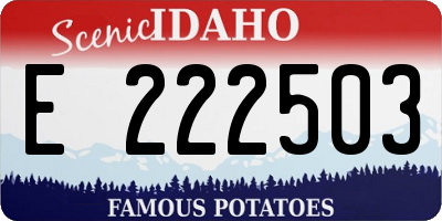 ID license plate E222503