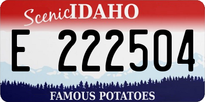 ID license plate E222504