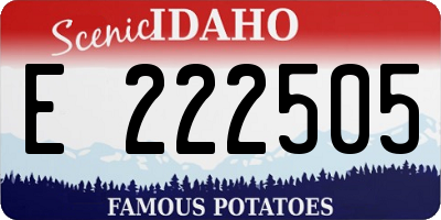 ID license plate E222505