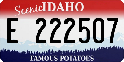 ID license plate E222507