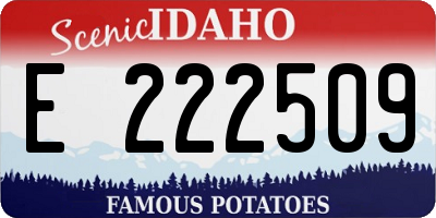 ID license plate E222509