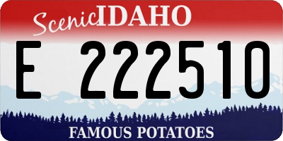 ID license plate E222510