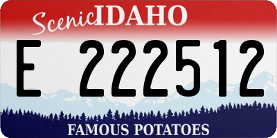 ID license plate E222512