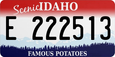 ID license plate E222513