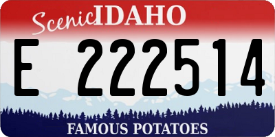 ID license plate E222514