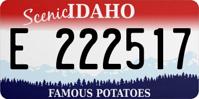 ID license plate E222517