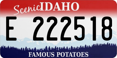 ID license plate E222518