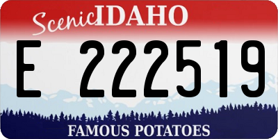 ID license plate E222519