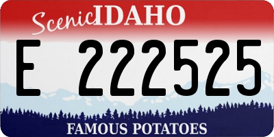 ID license plate E222525
