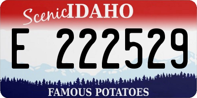 ID license plate E222529