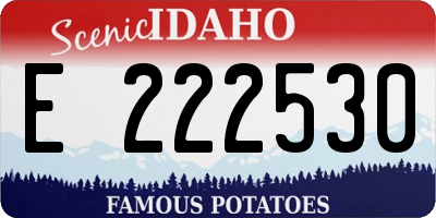 ID license plate E222530