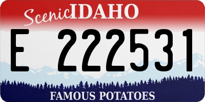 ID license plate E222531