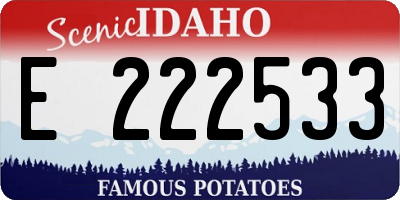 ID license plate E222533
