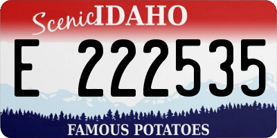 ID license plate E222535