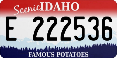 ID license plate E222536
