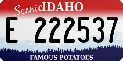 ID license plate E222537