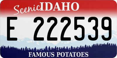 ID license plate E222539