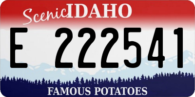 ID license plate E222541