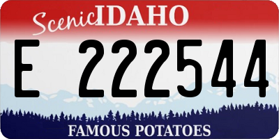 ID license plate E222544