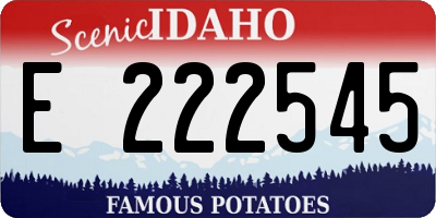 ID license plate E222545