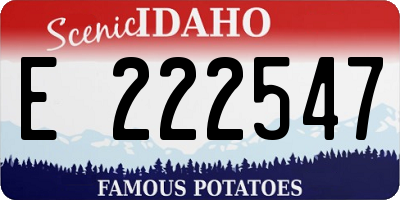ID license plate E222547