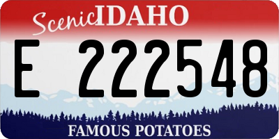 ID license plate E222548