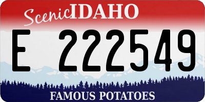 ID license plate E222549