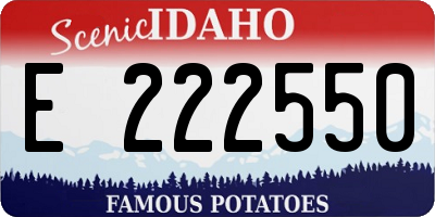 ID license plate E222550
