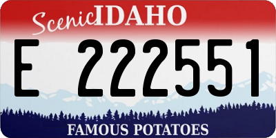 ID license plate E222551