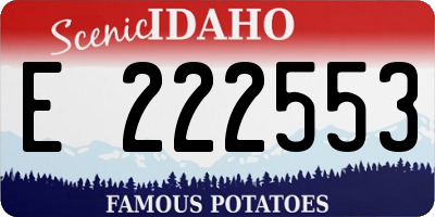 ID license plate E222553