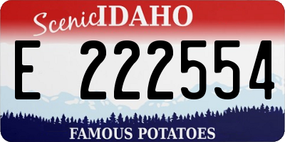 ID license plate E222554