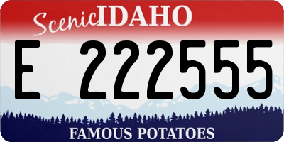 ID license plate E222555
