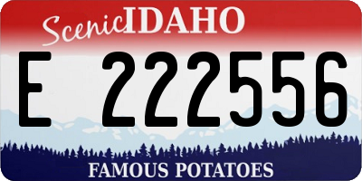 ID license plate E222556
