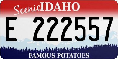 ID license plate E222557