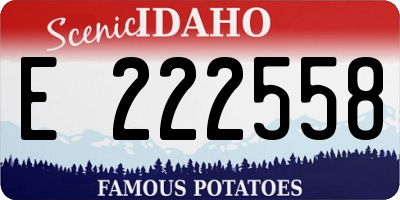 ID license plate E222558