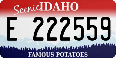 ID license plate E222559