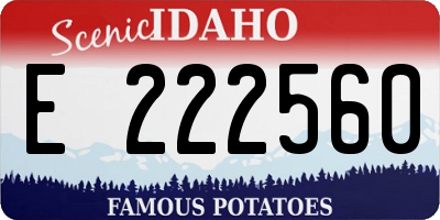 ID license plate E222560