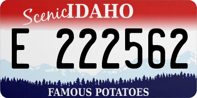 ID license plate E222562