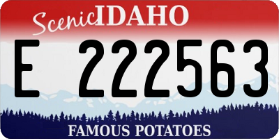 ID license plate E222563