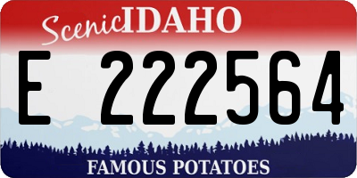 ID license plate E222564