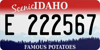 ID license plate E222567