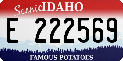 ID license plate E222569