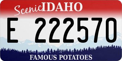 ID license plate E222570