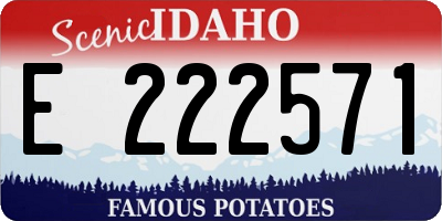 ID license plate E222571