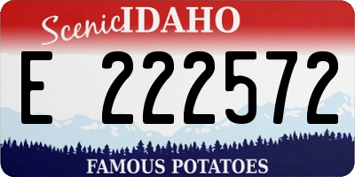 ID license plate E222572